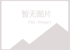 白银平川妩媚制造有限公司